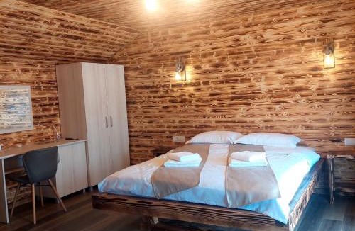 Copalnic-Manastur Ski Chalet | Ema House