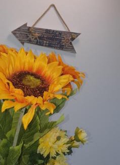 Vama Veche Hotel | Ema