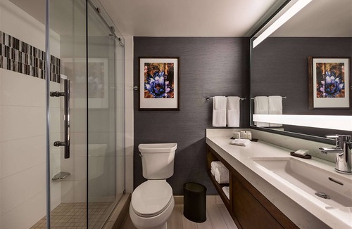 South Scottsdale Resort | Embassy Suites by Hilton Scottsdale Resort