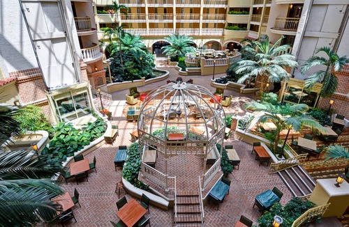 Altamonte Springs Hotel | Embassy Suites by Hilton Orlando North
