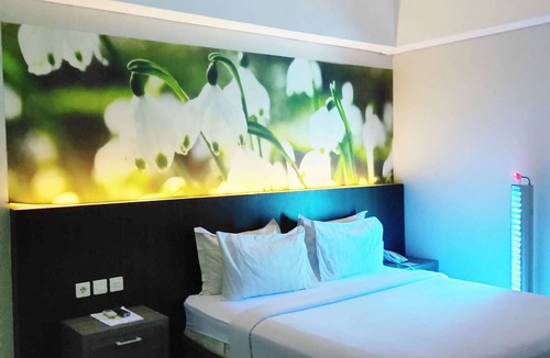 Timika Hotel | Emerald Hotel