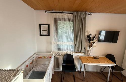 Waldshut-Tiengen Apartment | EMI2 Modern Apartment Free Parking Near Swiss Border