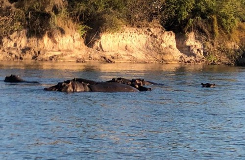 Kavango Cabin | Emms Cubango Ecological Camp