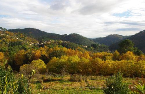 Saint-Julien-des-Points House | En Cevennes,Les gites du Champ Neuf- La maison de Flavie