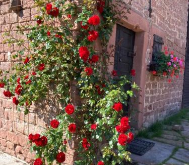 Dambach Bed & Breakfast | En Passant