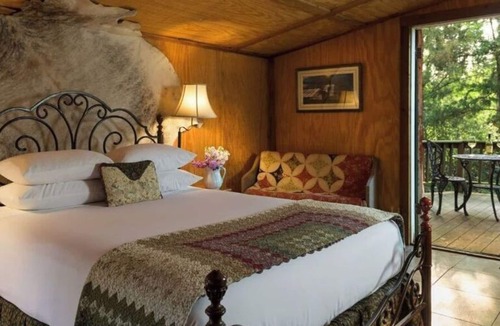 Cat Spring Cabin | Enchanted Cabin nestled in thick woods near Enchanted Lake & Private Hot Tub!