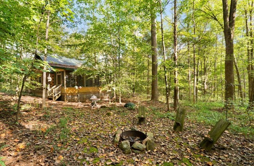 Birdseye Cabin | Enchanted Cottage @ Patoka Lake