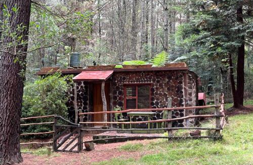 Hogsback House | Enchanted Forest Cottage Escape!
