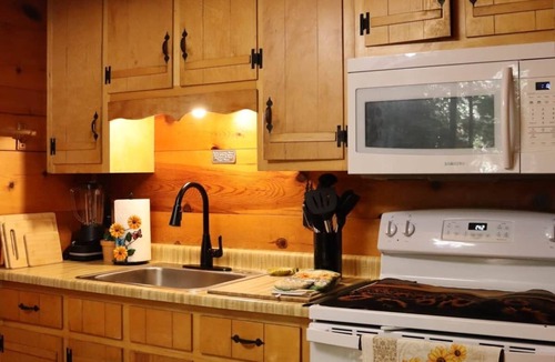 Sautee Nacoochee Cabin | Enchanted Forest Hideaway w/Hot Tub (Dog Friendly)