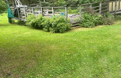 Butternut House | Enchanting 3-bdrm house in Butternut with trail access and fishing nearby!