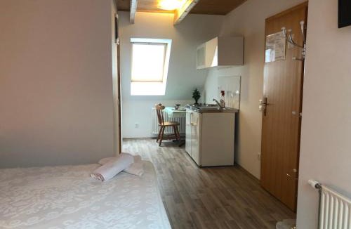 Log pod Mangartom Apartment | Encijan Apartments