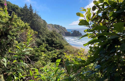 Bertsch-Oceanview House | Enjoy Majestic Redwoods and Stunning Beaches