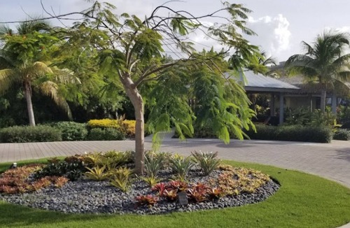 Estate Smith Bay Hotel | Enjoy Saint Thomas the VI like no other @ Margaritaville