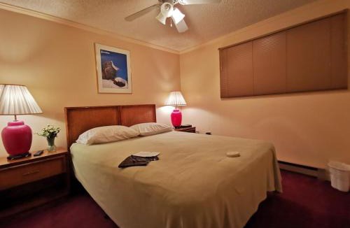 Edray Apartment | Enjoy the Long Range View, Ski in n out Top of the Mountain condo
