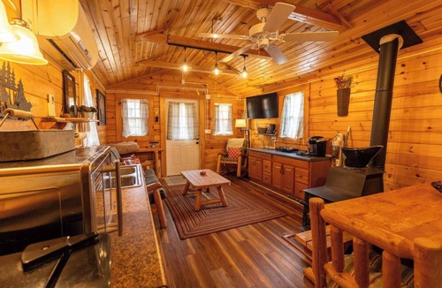 Berkeley Springs Apartment | Enjoy this cabin/tiny home on 24 acres of Oak and Hickory forest close to Berkeley Springs, WV