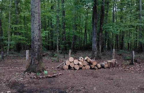 Columbus RV Rental | Enjoyable campground retreat in peaceful Columbus perfect for outdoor lovers
