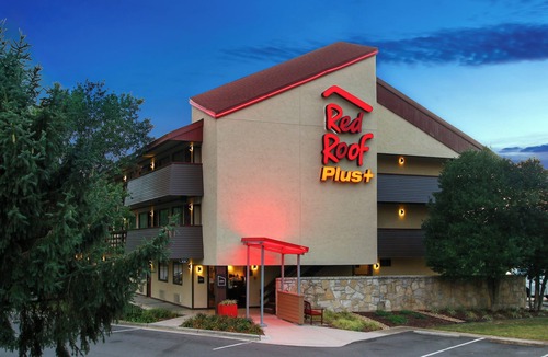 Statesville Apartment | Ensuring a Very Comfortable & Memorable Stay! Pet-friendly, Free Parking!