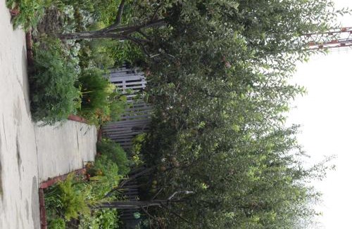 Aleo House | Enthralling Escapes Nature Stay and Trek