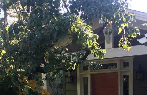 La Canada Flintridge House | Entire 3 bedroom/3 bath home in La Canada Flintridge