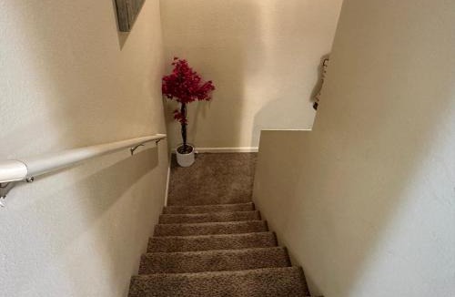 Williston House | Entire 4br and 2ba at center of Downtown