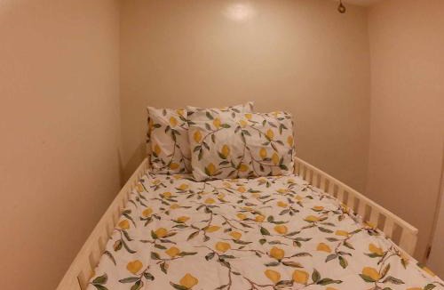 Daet Apartment | Entire Home Unit 2 Netflix AC Washer