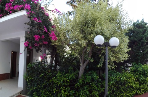 Specchiolla House | Entire villa surrounded by greenery 3 rooms with bathroom