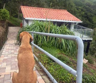 Nocaima House | Entre Nubes