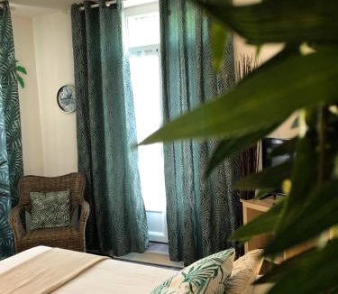 Clermont Ferrand City Centre Apartment | Equateur-centre Jaude