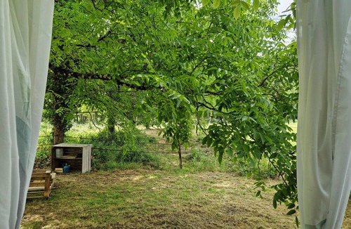 Ambrus Cabin | Equestrian experience and private Nordic bath.