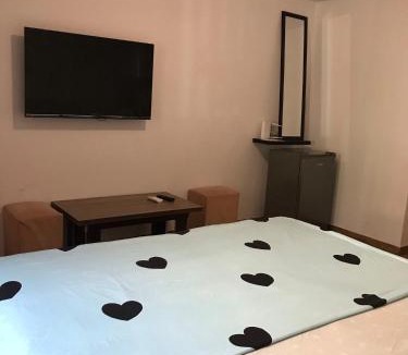 Baile Herculane Apartment | Eric one