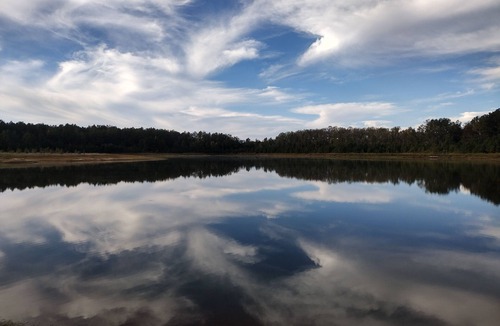 Escambia County Cabin | Escambia Lakes Fish Camp, Goat Refuge, Duck Utopia, Farms on 75 wild acres