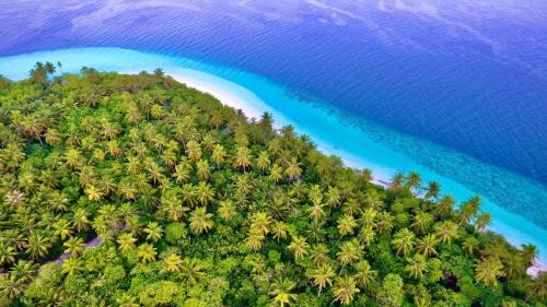 Feridhoo House | Escapism Maldives
