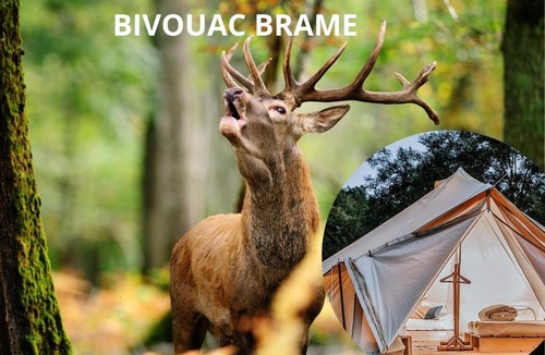 Sonchamp Other | Espace Rambouillet parc forestier et animalier BIVOUAC