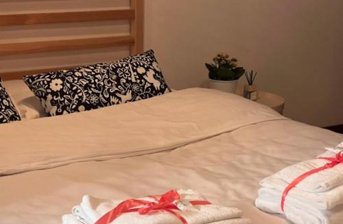 Ivrea Apartment | Espacio SerrART 325