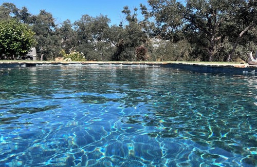 Acampo Cottage | Established Vacation Rental New to VRBO Wine Country Cottage, Couples Retreat