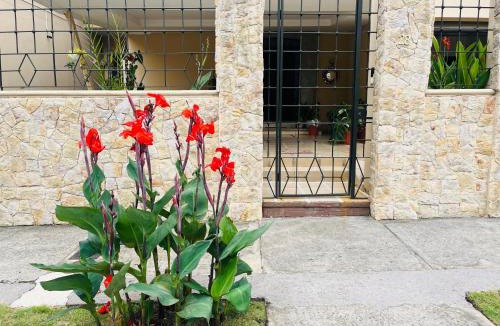 Escazu Hostel | Ester`s Place
