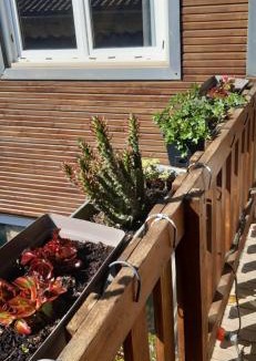 Saint-Couat-dʼAude Apartment | ETAPE DE ST COUAT