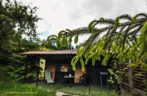 Valea Mare-Pravat House | Ethereal Chalet