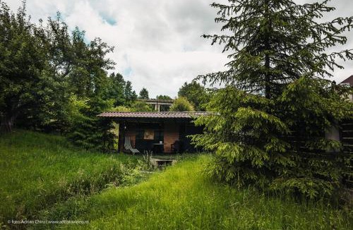 Valea Mare-Pravat House | Ethereal Chalet