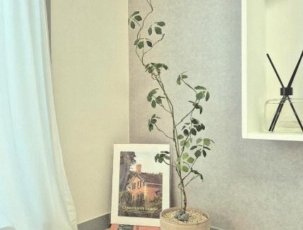 Yeongi-gun Apartment | Eumm stay