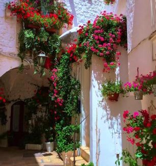 Old Town Cisternino House | Eusebio's House