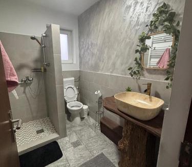 Ciocanesti House | Eva House