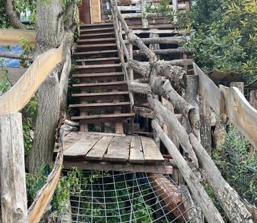 Civitella del Tronto Cabin | Eva's Tree House by Villa Elaisa