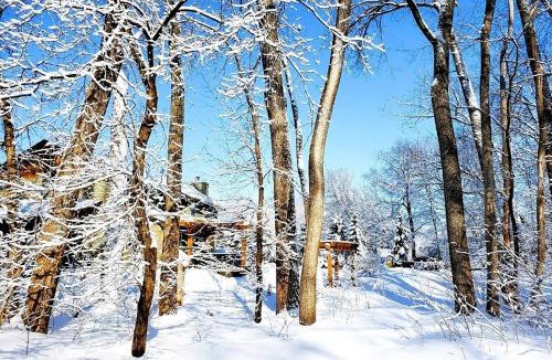Burnsville House | Everchanging Seasons-Hot Tub, Game Haven & Central Retreat