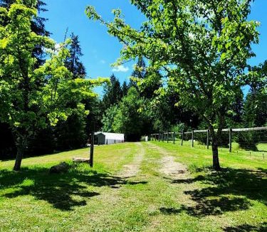 Brush Prairie Other | Evergreen Escape
