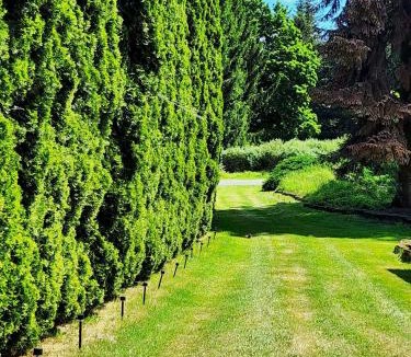 Brush Prairie Other | Evergreen Escape