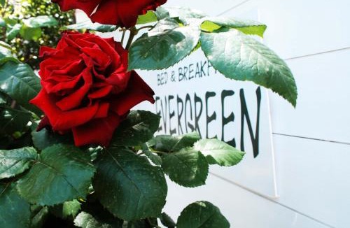Roseto Capo Spulico Bed & Breakfast | Evergreen