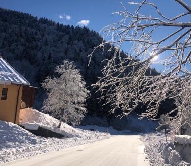 Tarvisio Apartment | Ex Funivia Lussari