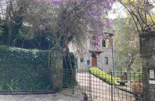 Castelfranco di Sopra House | Ex oldest mill with stonepool