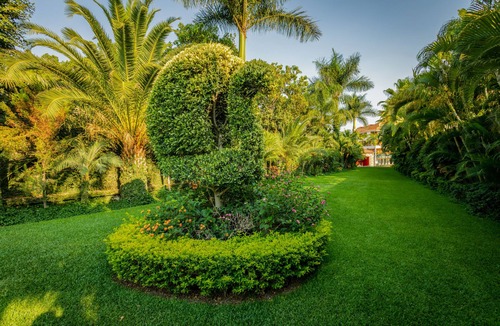Tequesquitengo Hotel | Excelaris Grand Resort Conventions & Spa